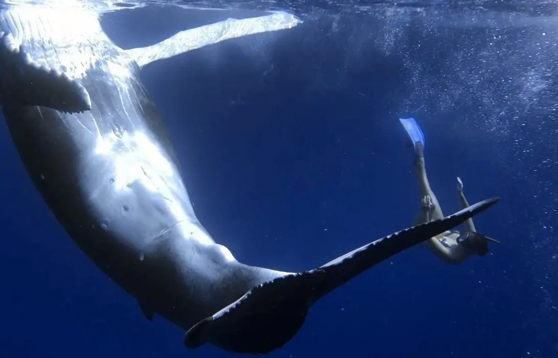 reconversion professionnelle