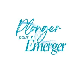 Plongerpouremerger.com